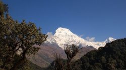 Annapurna Express Trek
